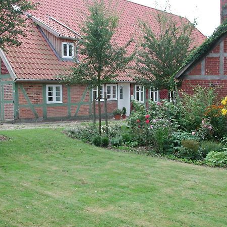 Ferienwohnung Am Elbdeich Блекеде Екстериор снимка