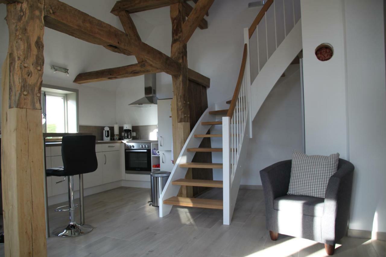 Ferienwohnung Am Elbdeich Блекеде Екстериор снимка